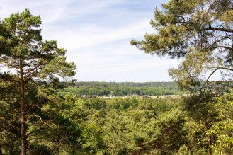 Widok na zachód w stronę hipodromu Fontainebleau.