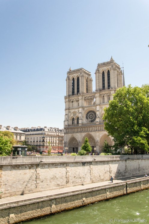 Katedra Notre-Dame, widok z mostu - Petit-Pont-Cardinal-Lustiger.